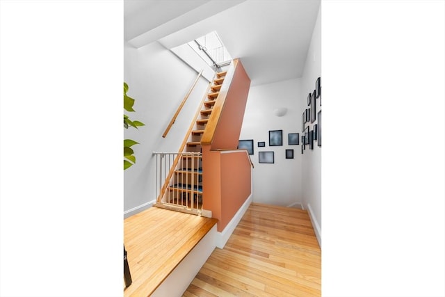 staircase with wood finished floors