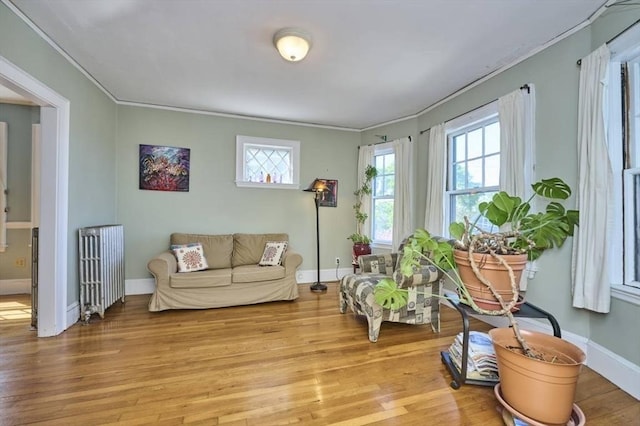 living area with crown molding, radiator, and light wood-style floors