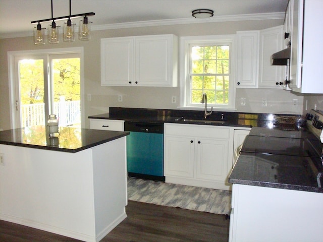 kitchen with white cabinetry, stainless steel dishwasher, sink, and dark hardwood / wood-style floors