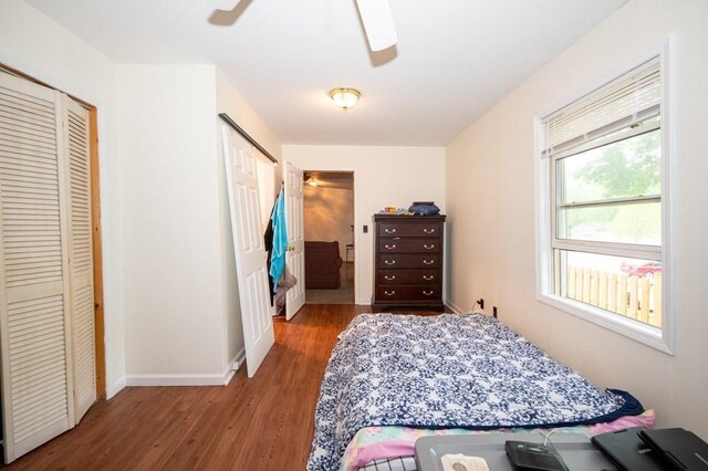 6-10 Walcott St, Southbridge, MA 01550 - bedroom with wood finished floors, baseboards, two closets, and a ceiling fan
