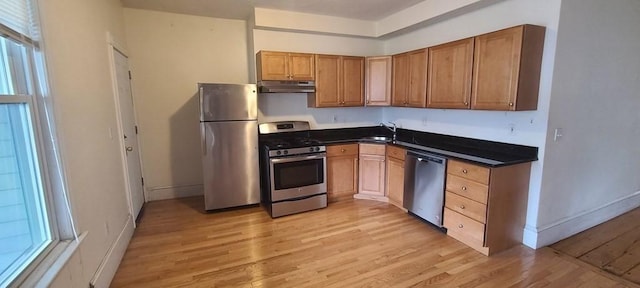 kitchen with appliances with stainless steel finishes, light hardwood / wood-style flooring, plenty of natural light, and sink