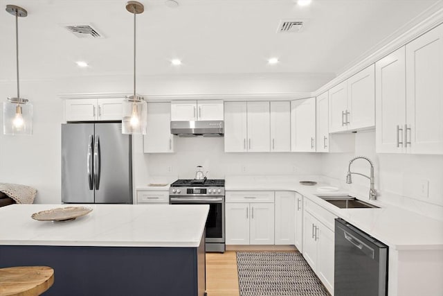 50 N Payne St Unit 2, Quincy, MA 02169 - kitchen with stainless steel appliances, under cabinet range hood, a sink, light wood finished floors, and white cabinetry