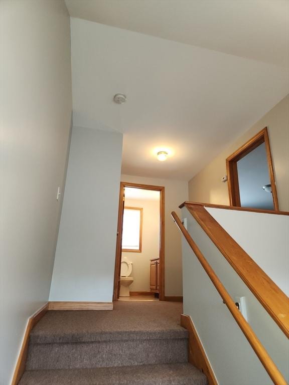 147 Stafford Rd, Fall River, MA 02721 - staircase featuring carpet flooring