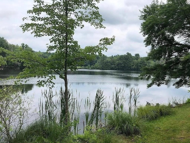 24 Cote Ln, Sutton, MA 01590 - water view with a heavily wooded area
