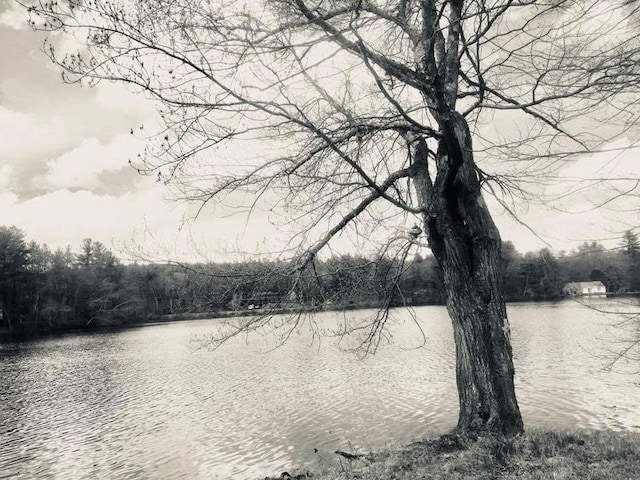 24 Cote Ln, Sutton, MA 01590 - water view with a forest