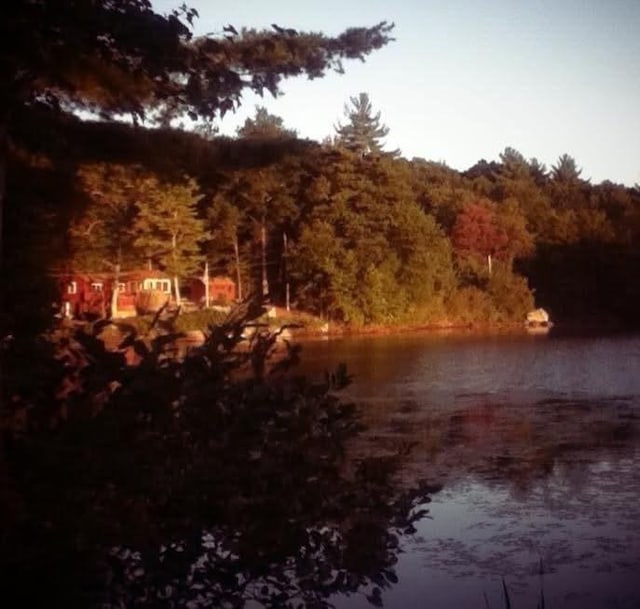 24 Cote Ln, Sutton, MA 01590 - water view featuring a forest