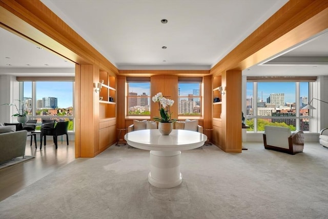 2 Commonwealth Ave Unit 15Bc, Boston, MA 02116 - dining area with a skyline view, carpet floors, and healthy amount of natural light
