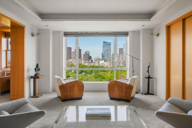 2 Commonwealth Ave Unit 15Bc, Boston, MA 02116 - sitting room featuring carpet flooring, a skyline view, and a tray ceiling