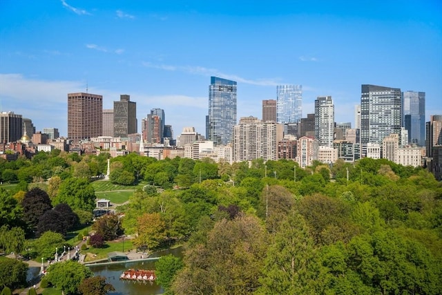 2 Commonwealth Ave Unit 15Bc, Boston, MA 02116 - skyline view featuring a tree filled landscape