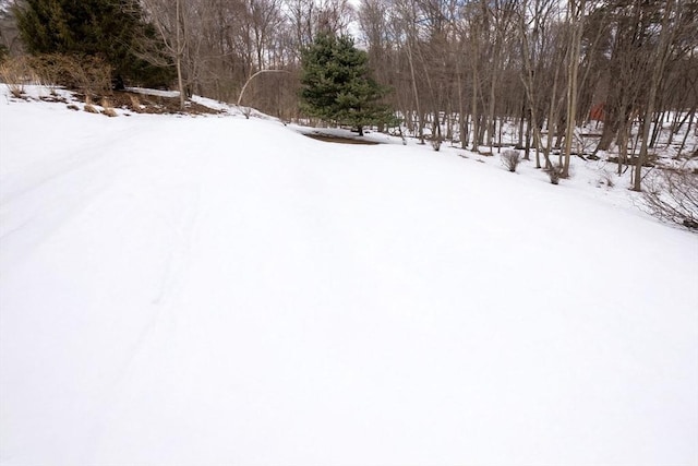 view of yard layered in snow