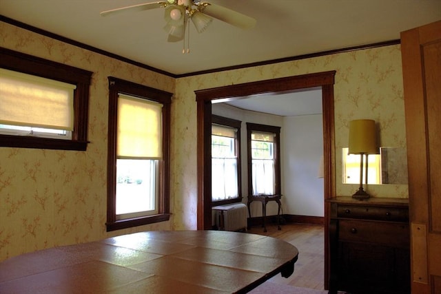 142 College St, Worcester, MA 01610 - dining room featuring wood finished floors, healthy amount of natural light, a ceiling fan, and wallpapered walls