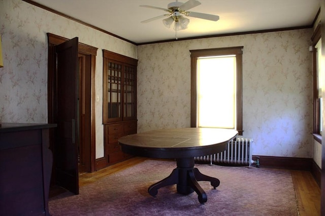 142 College St, Worcester, MA 01610 - dining area featuring radiator, wood finished floors, and a ceiling fan