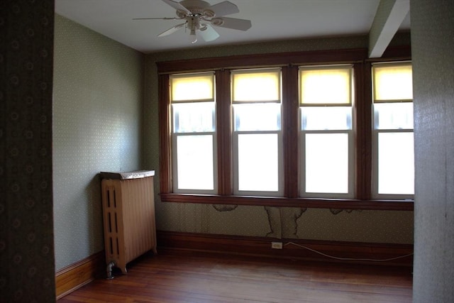 142 College St, Worcester, MA 01610 - empty room with radiator, wallpapered walls, wood finished floors, plenty of natural light, and ceiling fan