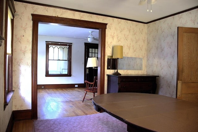 142 College St, Worcester, MA 01610 - dining room with wood finished floors, ceiling fan, and wallpapered walls