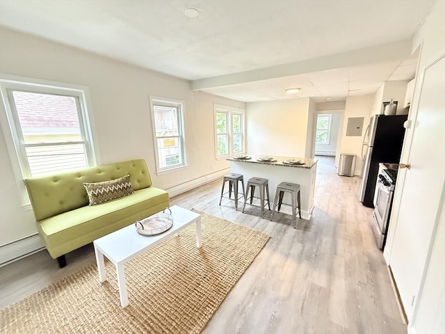 living area featuring light wood-style floors