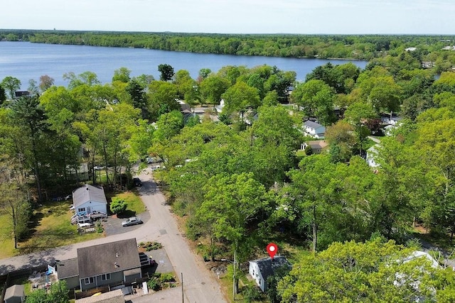 bird's eye view of a large body of water and a forest