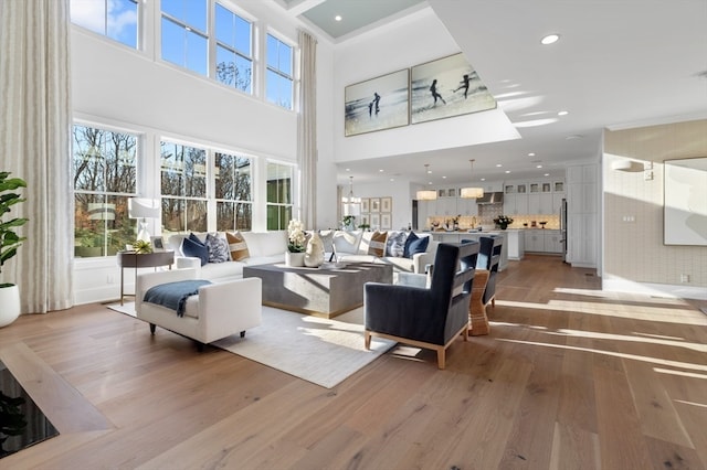 living room featuring a high ceiling and light wood-type flooring