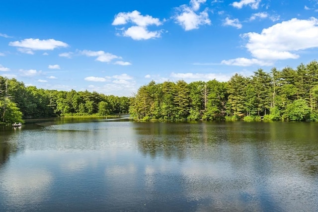 10 Old County Rd Unit 19, Hudson, MA 01749 - water view with a forest