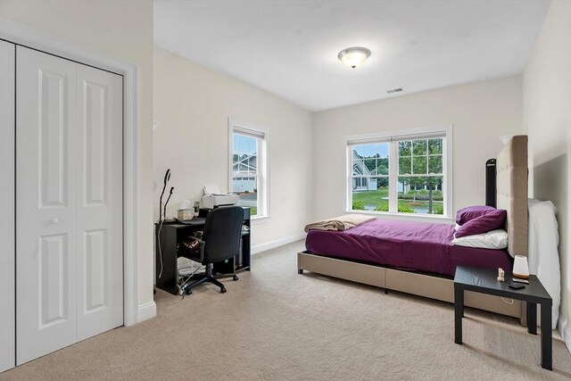 131 Rogerson Xing Unit 131, Uxbridge, MA 01569 - bedroom featuring carpet floors, a desk, and a closet