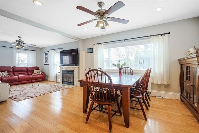 dining space with a ceiling fan, healthy amount of natural light, light wood finished floors, and recessed lighting