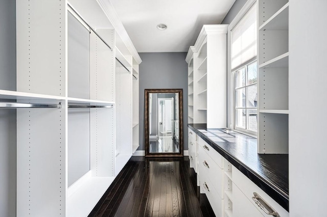 walk in closet with dark wood-type flooring
