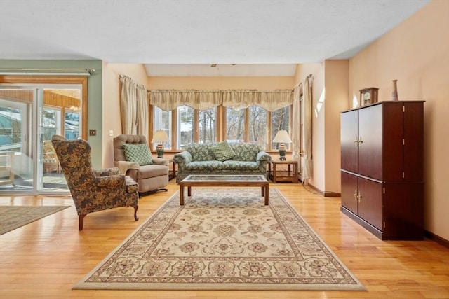 sitting room featuring light hardwood / wood-style flooring