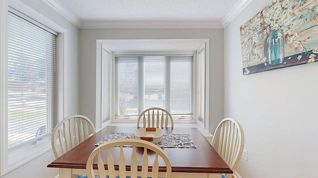 3 Oakwood Ln Unit 3, Worcester, MA 01604 - dining room with plenty of natural light and ornamental molding