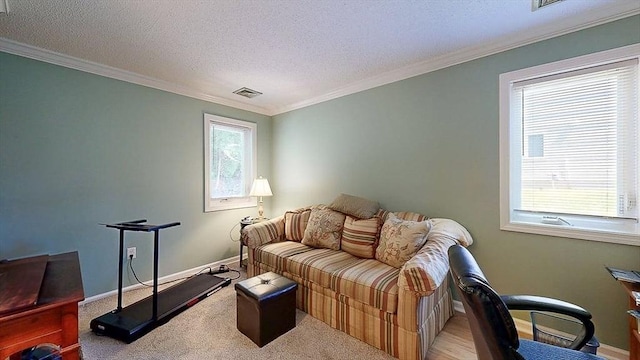 3 Oakwood Ln Unit 3, Worcester, MA 01604 - office area featuring a textured ceiling, crown molding, and carpet flooring