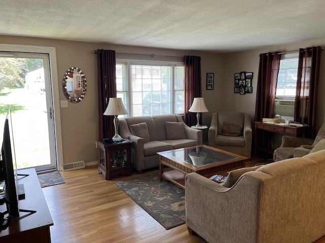 48 Birchcroft, Leominster, MA 01453 - living room featuring healthy amount of natural light, light wood-style flooring, and a textured ceiling
