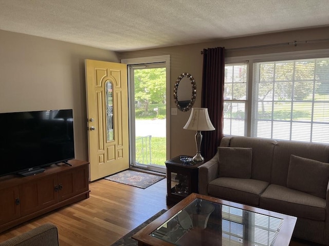 48 Birchcroft, Leominster, MA 01453 - living room featuring a textured ceiling and light wood-type flooring
