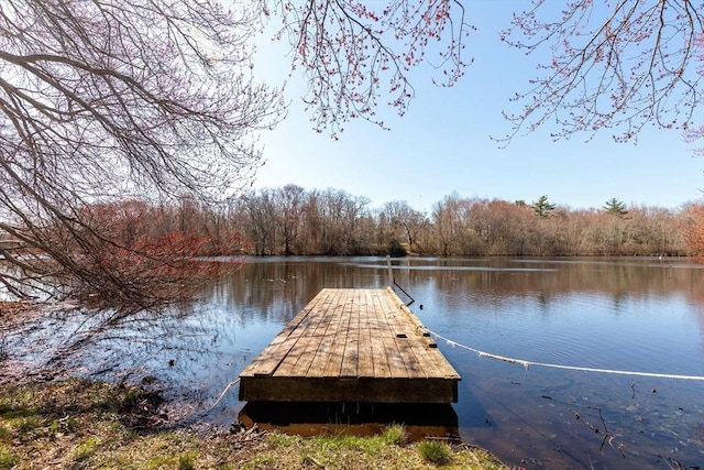 dock area featuring a view of trees and a water view