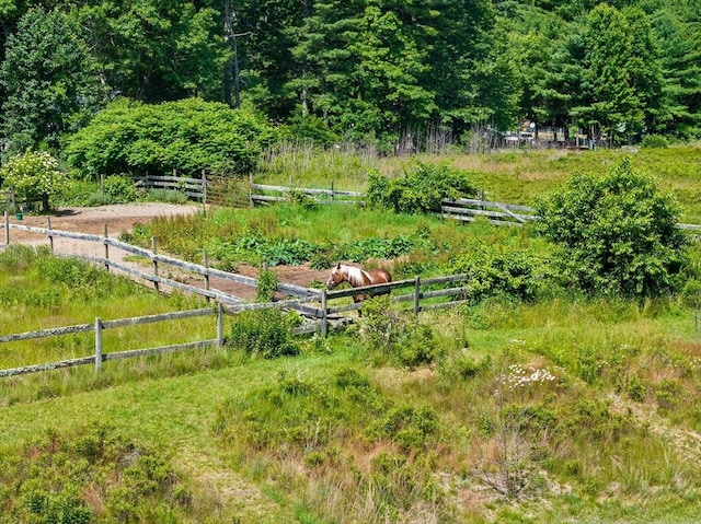 18 Russell Holmes Way, Carver, MA 02330 - view of yard with a view of trees