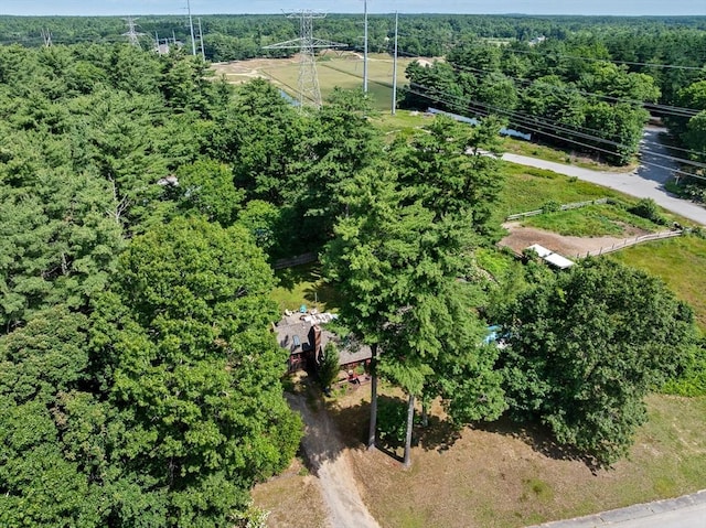 18 Russell Holmes Way, Carver, MA 02330 - bird's eye view of a heavily wooded area