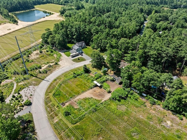 18 Russell Holmes Way, Carver, MA 02330 - drone / aerial view of a large body of water and a heavily wooded area