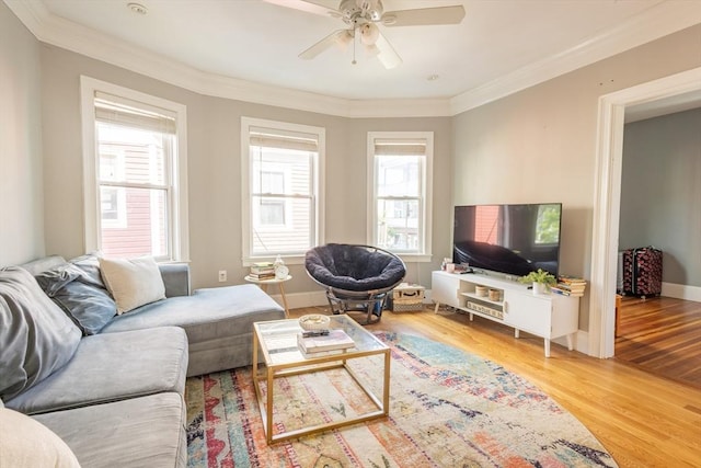 28 Edison Grn Unit 2, Boston, MA 02125 - living area with ceiling fan, light wood-type flooring, and crown molding