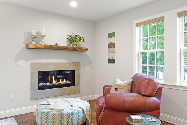 35 Orchard Rd, Milton, MA 02186 - living area featuring baseboards, wood finished floors, a glass covered fireplace, and recessed lighting