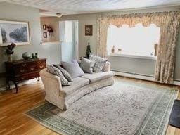 living room with baseboard heating and wood-type flooring