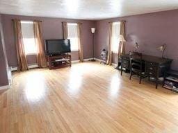 living room featuring light hardwood / wood-style floors