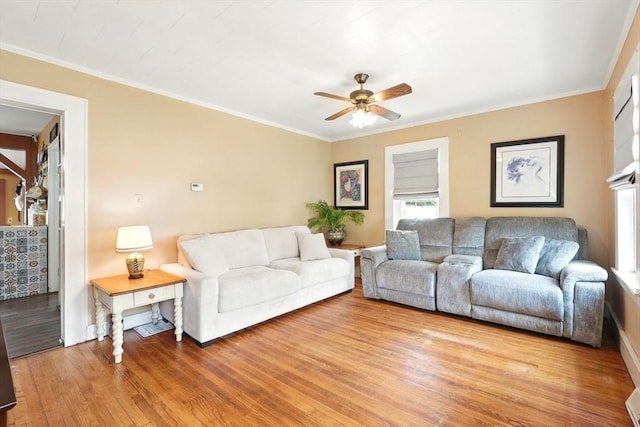 7 Gaston St, Easthampton, MA 01027 - living area featuring a ceiling fan, light wood finished floors, and crown molding