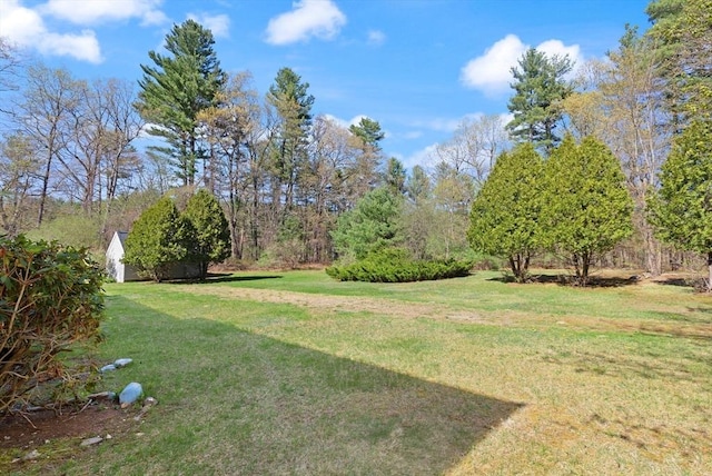 view of yard