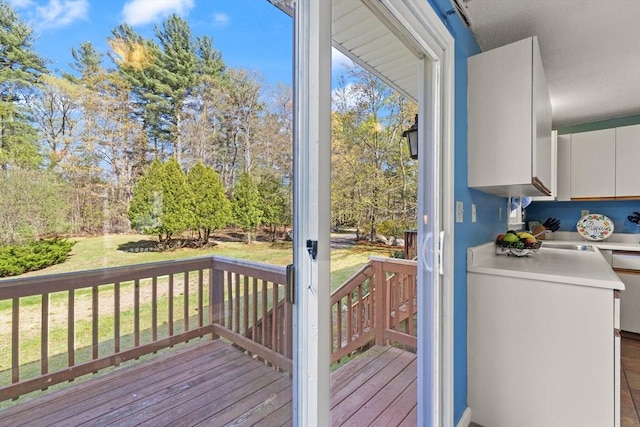 doorway to outside with a sink and wood finished floors