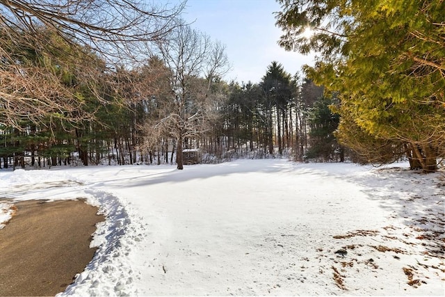 view of yard layered in snow