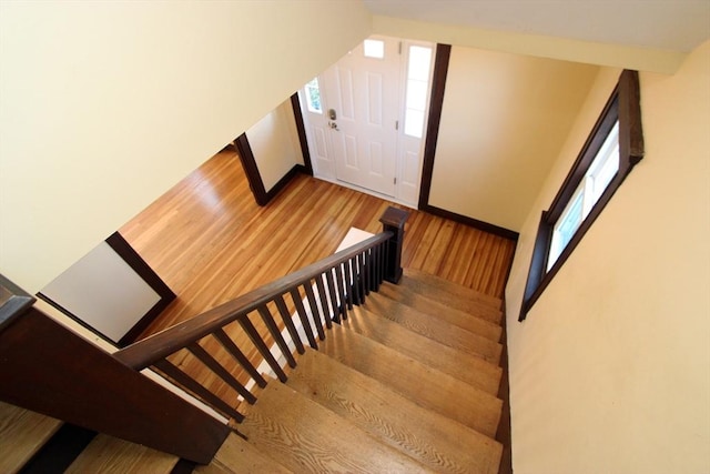 staircase featuring wood finished floors