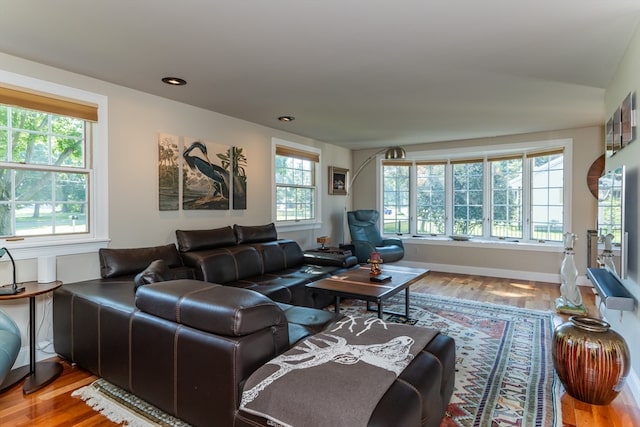 living room featuring hardwood / wood-style floors