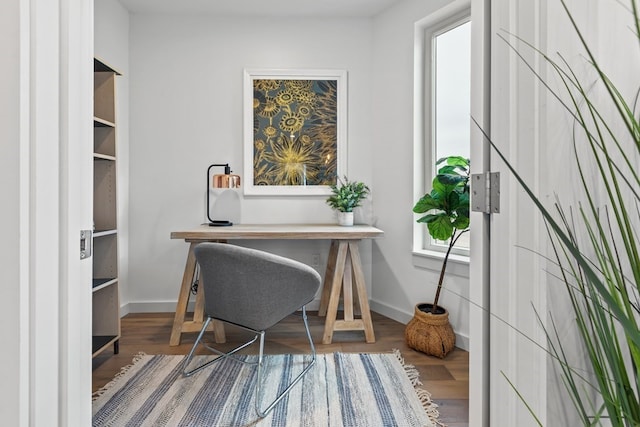 office space featuring hardwood / wood-style flooring