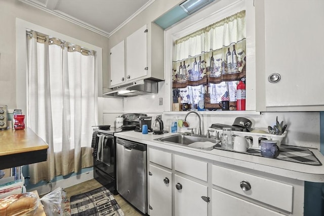 132 E Quincy St, North Adams, MA 01247 - kitchen with a sink, light countertops, white cabinetry, stainless steel dishwasher, and under cabinet range hood