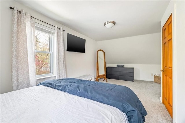 59 Brigantine Cir, Plymouth, MA 02360 - bedroom with carpet floors