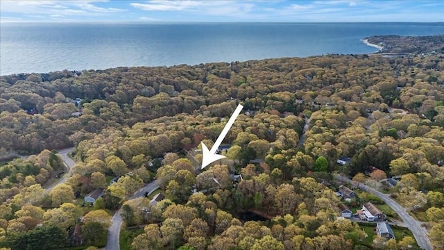 59 Brigantine Cir, Plymouth, MA 02360 - bird's eye view of a large body of water and a heavily wooded area