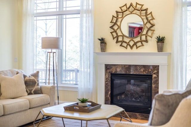 living area featuring a high end fireplace