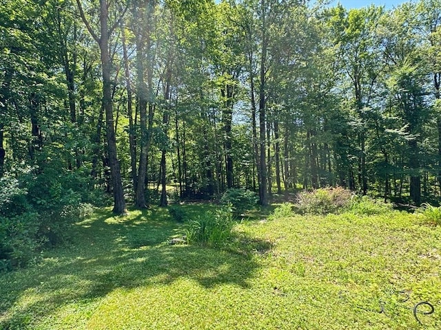 233 Old Wendell Rd, Northfield, MA 01360 - view of undeveloped land
